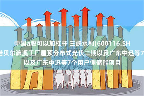 中国a股可以加杠杆 三峡水利(600116.SH)：取消投资九江诺贝尔濂溪工厂屋顶分布式光伏二期以及广东中迅等7个用户侧储能项目