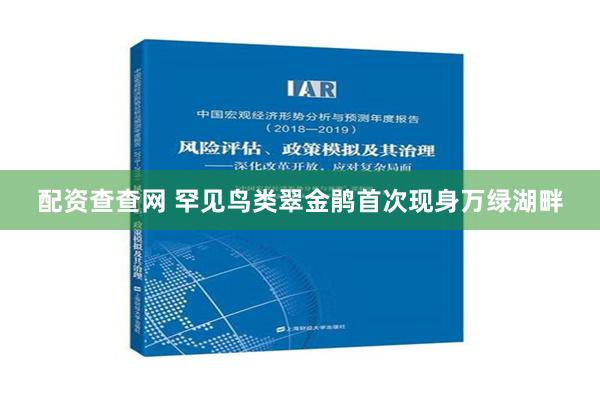 配资查查网 罕见鸟类翠金鹃首次现身万绿湖畔