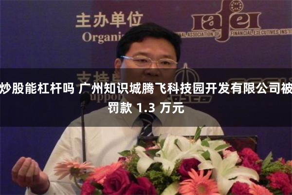 炒股能杠杆吗 广州知识城腾飞科技园开发有限公司被罚款 1.3 万元