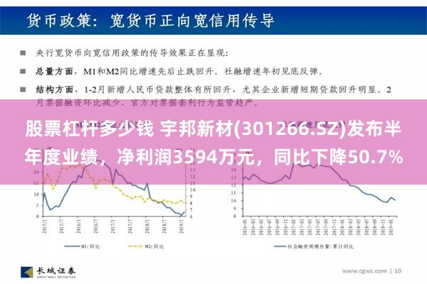 股票杠杆多少钱 宇邦新材(301266.SZ)发布半年度业绩，净利润3594万元，同比下降50.7%