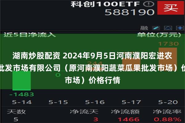 湖南炒股配资 2024年9月5日河南濮阳宏进农副产品批发市场有限公司（原河南濮阳蔬菜瓜果批发市场）价格行情