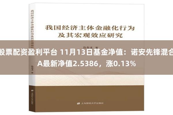 股票配资盈利平台 11月13日基金净值：诺安先锋混合A最新净值2.5386，涨0.13%