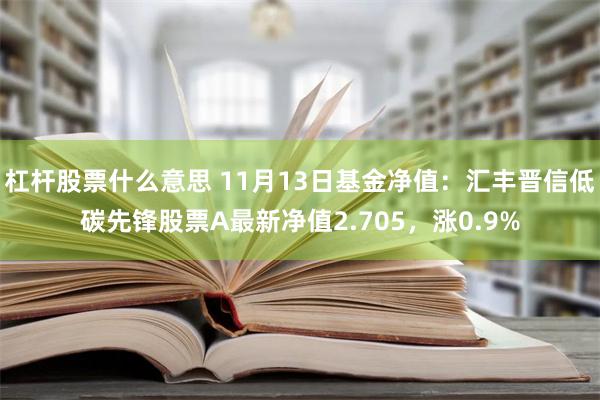 杠杆股票什么意思 11月13日基金净值：汇丰晋信低碳先锋股票A最新净值2.705，涨0.9%