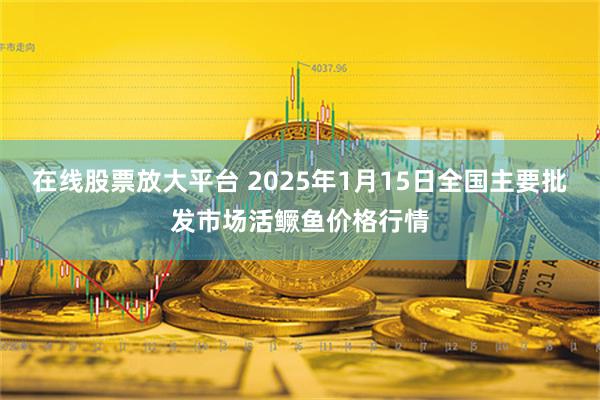 在线股票放大平台 2025年1月15日全国主要批发市场活鳜鱼价格行情