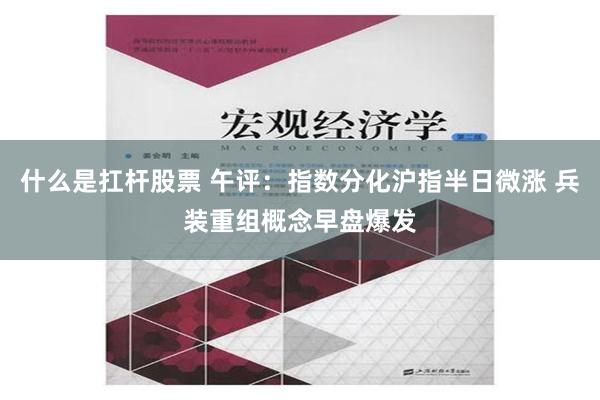 什么是扛杆股票 午评：指数分化沪指半日微涨 兵装重组概念早盘爆发